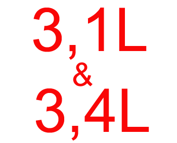 3.1/3.4L