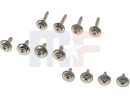 Chrome cover screw set (12pcs)