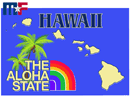 Aufkleber Hawaii 13x8,6cm