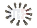 Tornillos múltiples 3/8"-16 / longitud 3/4" HEX (12pcs)