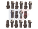 Boulons de collecteur 3/8 pouces-16 / longueur 3/4 "(16pcs)