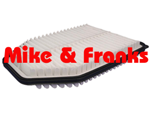 Purolator Luftfilter Wrangler 07-11 A35819