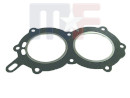 Head gasket 18-2950