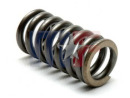 Transmission Accumulator Spring A604 89-95